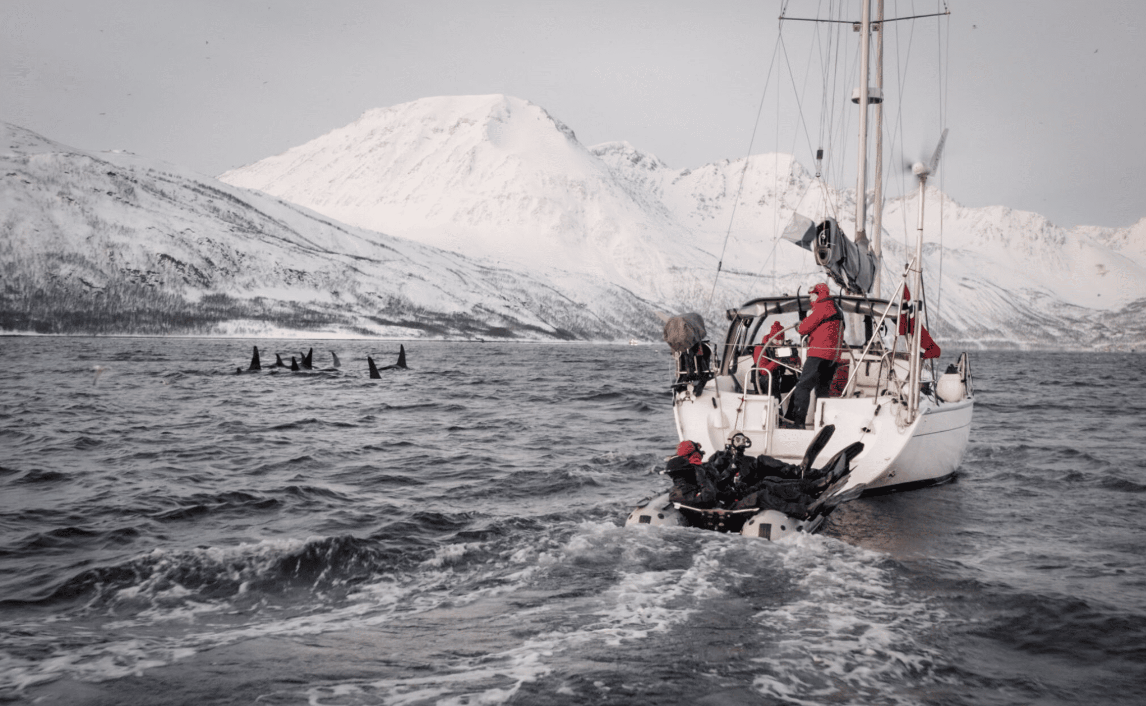 Live From Norway – Early Expedition